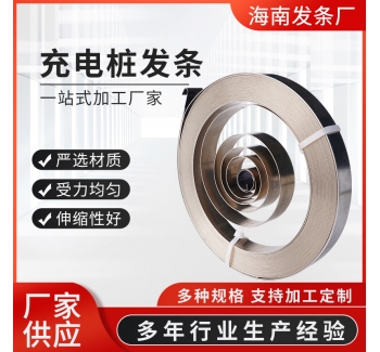廠家批發充電樁發條不銹鋼剎車鋼帶汽車安全錘發條